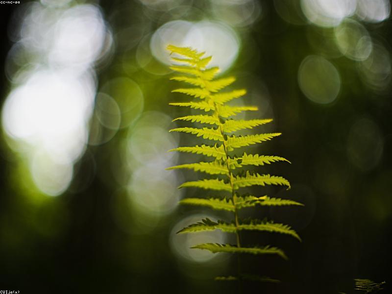 समय प्रबंधन के लिए तकनीकी उपकरण: उत्पादकता बढ़ाने के तरीके